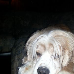 Meet your Posher, Nancy